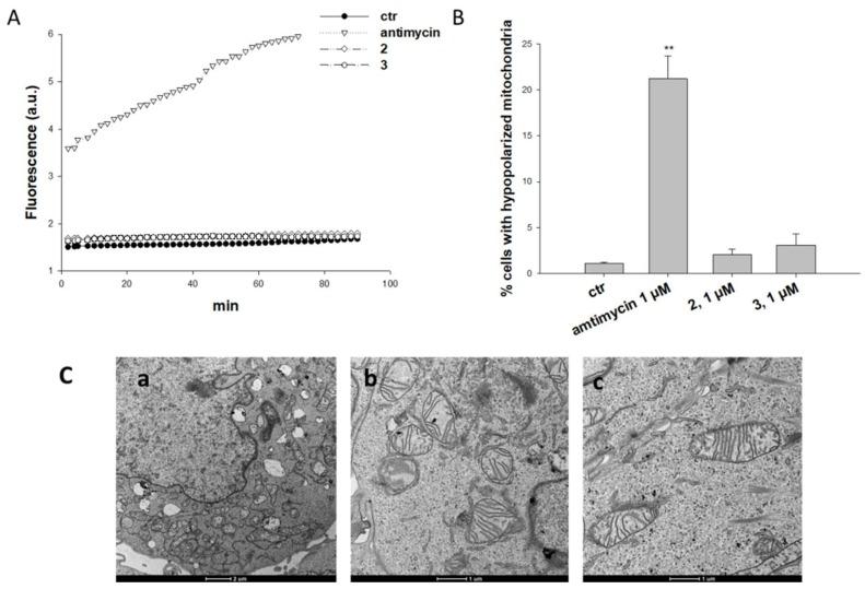 https://cdn.ncbi.nlm.nih.gov/pmc/blobs/d845/6073472/1fd30ec03901/ijms-19-02050-g004.jpg