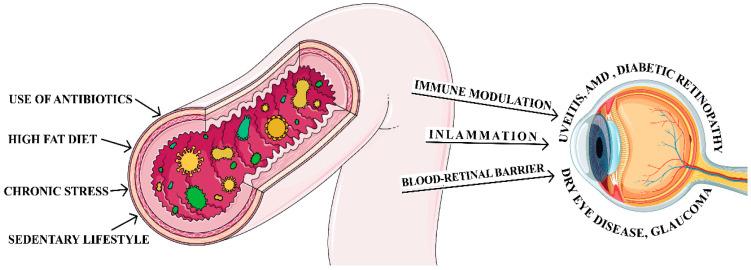 https://cdn.ncbi.nlm.nih.gov/pmc/blobs/d846/11432523/ff7fea1486c8/jcm-13-05611-g002.jpg