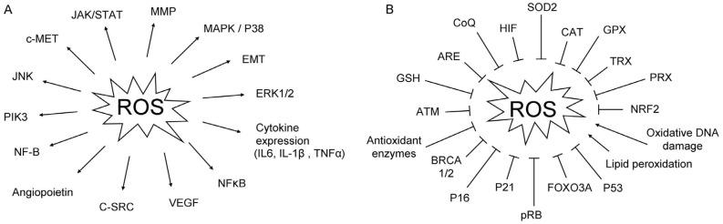 https://cdn.ncbi.nlm.nih.gov/pmc/blobs/d846/5372998/42bba2e42f04/jcm-06-00029-g001.jpg