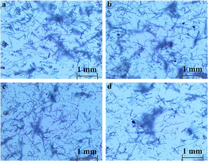 https://cdn.ncbi.nlm.nih.gov/pmc/blobs/d847/8164515/b5f63bffe597/gr8_lrg.jpg