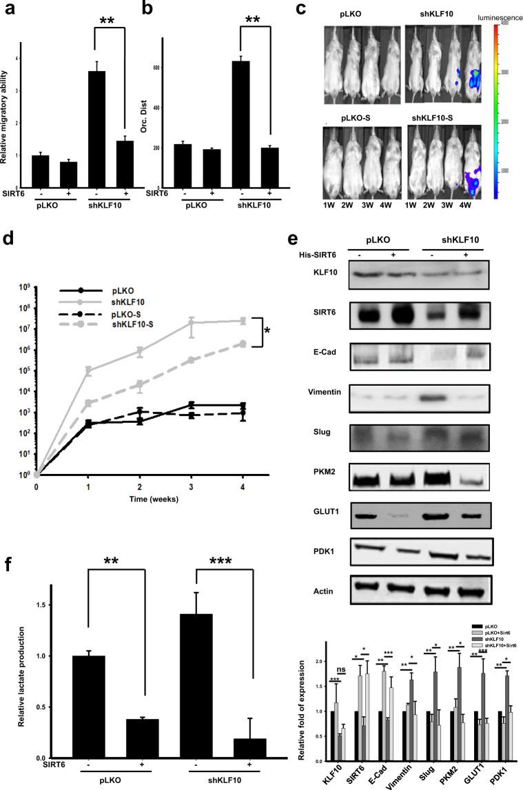 https://cdn.ncbi.nlm.nih.gov/pmc/blobs/d848/8569177/0a6b451257ad/12276_2021_687_Fig4_HTML.jpg