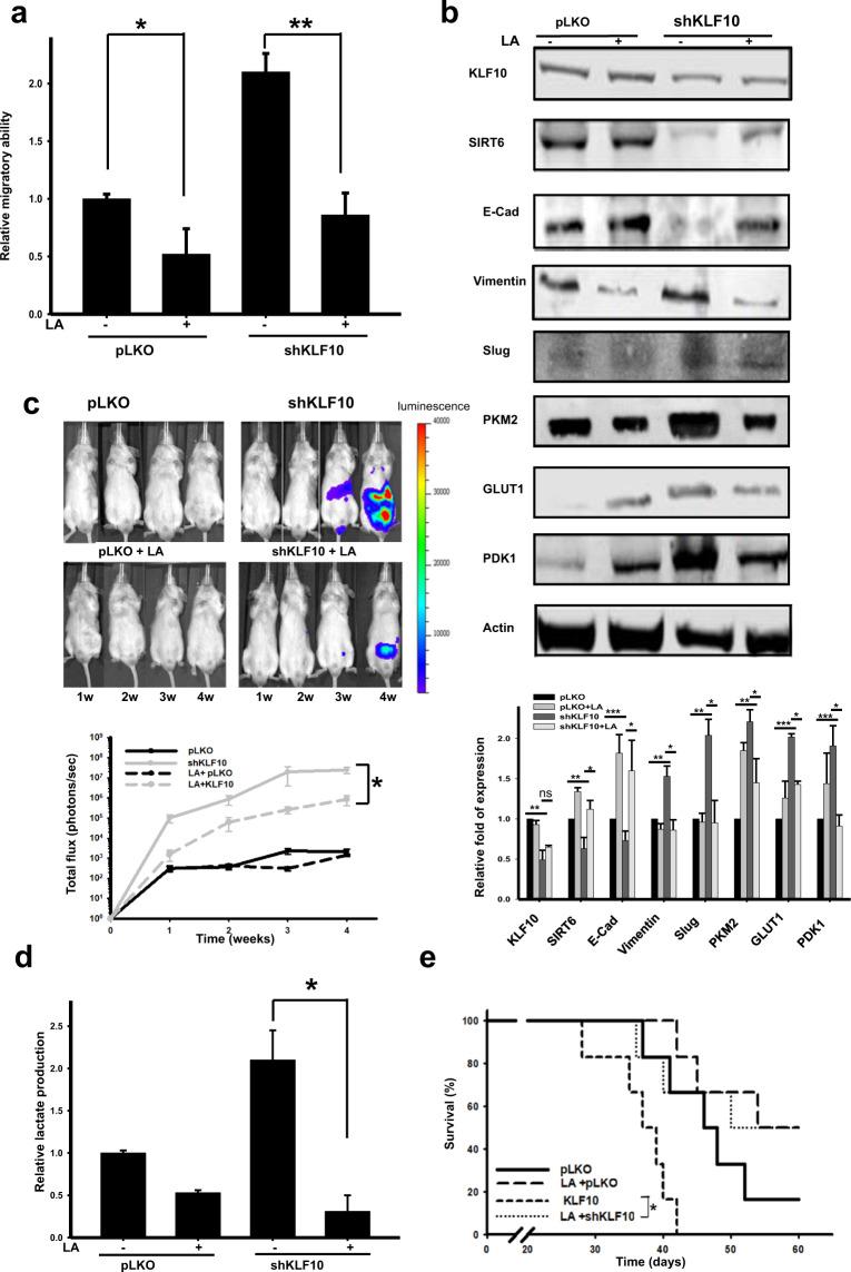 https://cdn.ncbi.nlm.nih.gov/pmc/blobs/d848/8569177/9441287dec13/12276_2021_687_Fig5_HTML.jpg