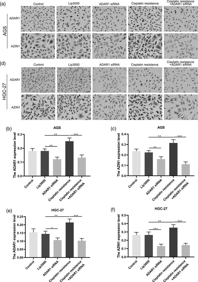 https://cdn.ncbi.nlm.nih.gov/pmc/blobs/d84a/10569681/ca4146beaf96/acd-34-1132-g002.jpg