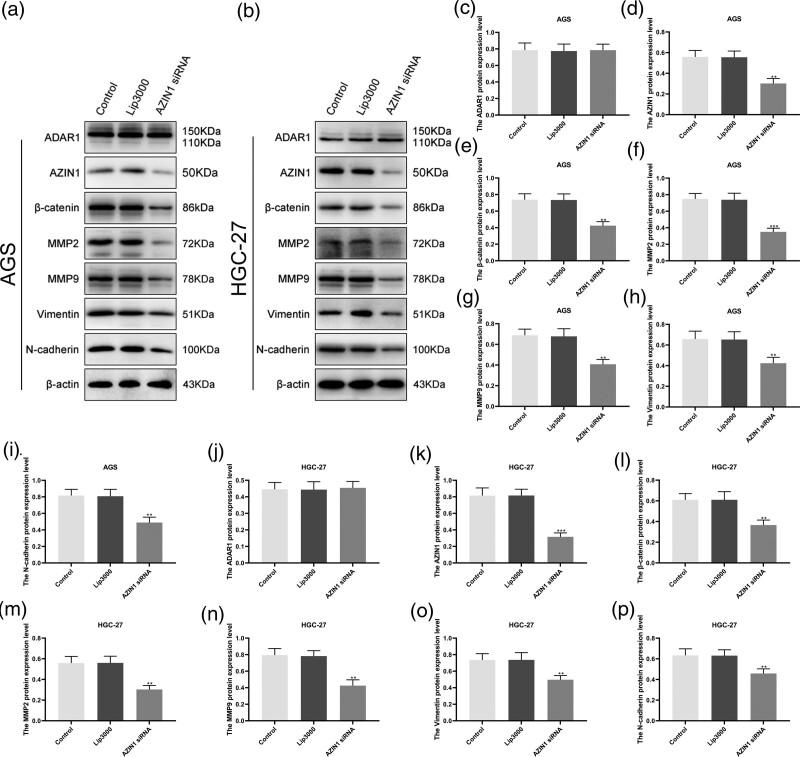 https://cdn.ncbi.nlm.nih.gov/pmc/blobs/d84a/10569681/e59eb3c7d580/acd-34-1132-g008.jpg