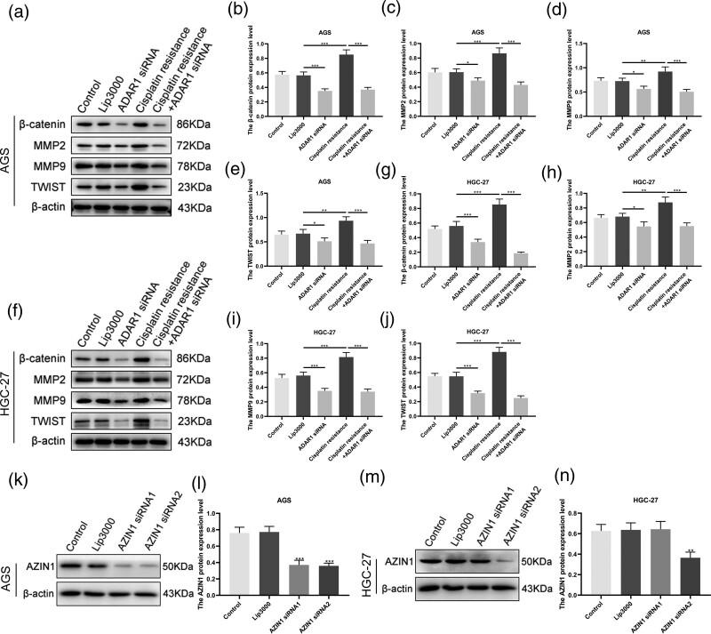 https://cdn.ncbi.nlm.nih.gov/pmc/blobs/d84a/10569681/f95e8a39af5a/acd-34-1132-g007.jpg