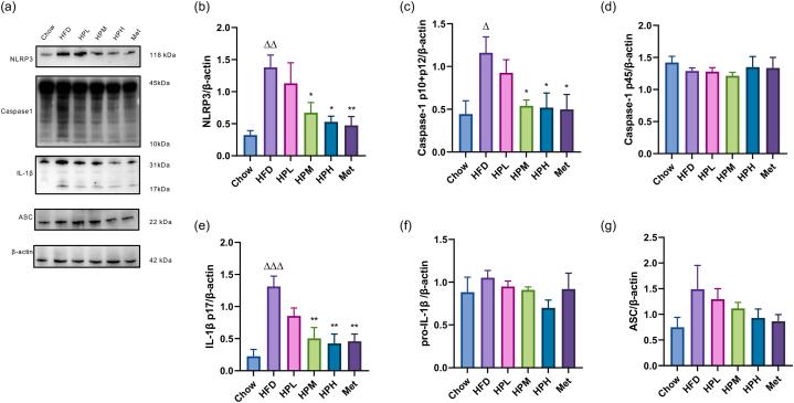 https://cdn.ncbi.nlm.nih.gov/pmc/blobs/d84c/11324969/7bded6b1b945/gr6.jpg