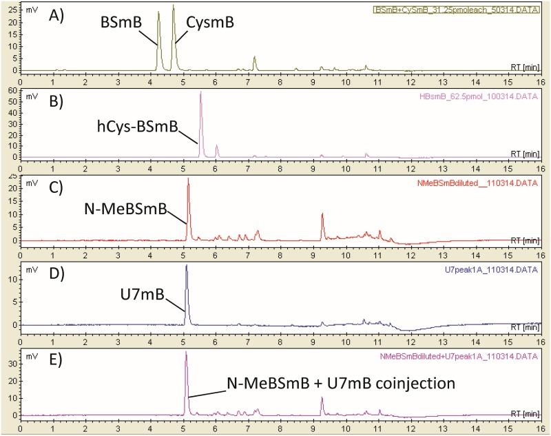 https://cdn.ncbi.nlm.nih.gov/pmc/blobs/d84d/6282198/cd8b45ea4ddd/mbo0061841950003.jpg