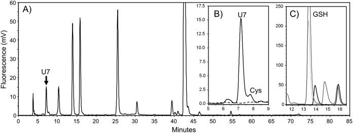https://cdn.ncbi.nlm.nih.gov/pmc/blobs/d84d/6282198/d750c946d978/mbo0061841950002.jpg