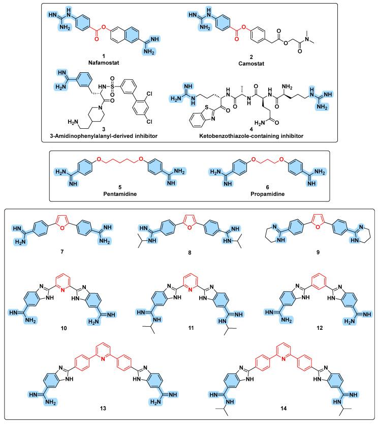 https://cdn.ncbi.nlm.nih.gov/pmc/blobs/d84e/10223987/f023b75d6cdc/viruses-15-01171-g001.jpg