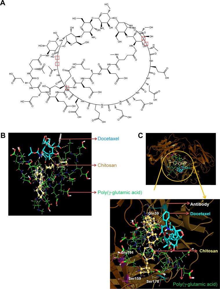 https://cdn.ncbi.nlm.nih.gov/pmc/blobs/d84f/5628680/2b3f8c640922/ijn-12-7165Fig1.jpg