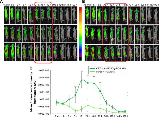 https://cdn.ncbi.nlm.nih.gov/pmc/blobs/d84f/5628680/40f945265725/ijn-12-7165Fig6.jpg