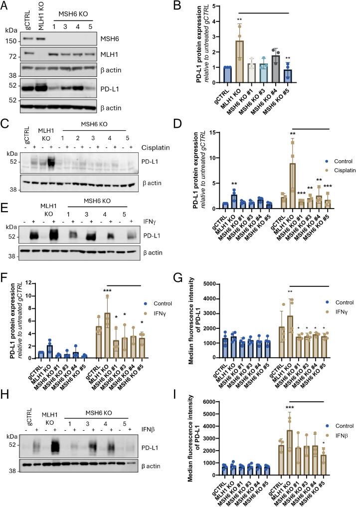https://cdn.ncbi.nlm.nih.gov/pmc/blobs/d850/12275031/55844e9a67a0/gr2.jpg