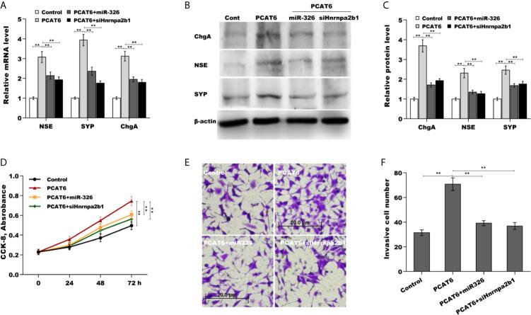 https://cdn.ncbi.nlm.nih.gov/pmc/blobs/d850/8278330/84f7abfb7ef2/fonc-11-650054-g006.jpg