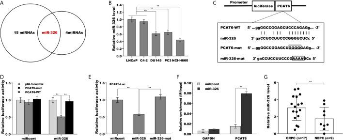 https://cdn.ncbi.nlm.nih.gov/pmc/blobs/d850/8278330/c670e99a5870/fonc-11-650054-g004.jpg