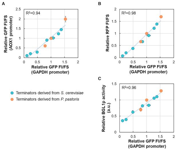 https://cdn.ncbi.nlm.nih.gov/pmc/blobs/d852/7736810/dd6ba29dcbf7/gkaa1066fig5.jpg