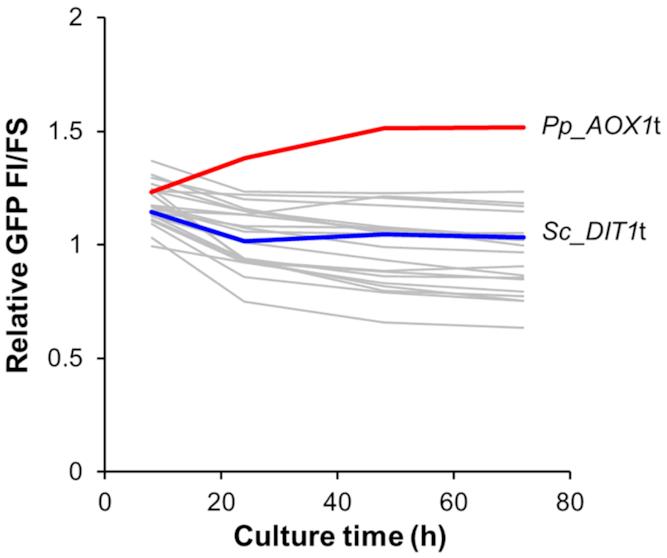 https://cdn.ncbi.nlm.nih.gov/pmc/blobs/d852/7736810/e1ad9fe33207/gkaa1066fig3.jpg
