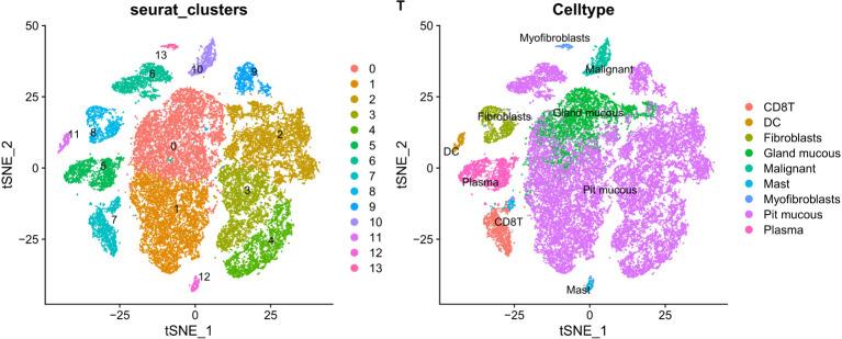 https://cdn.ncbi.nlm.nih.gov/pmc/blobs/d852/9868864/f5d24d3e7b18/fonc-12-1072576-g011.jpg