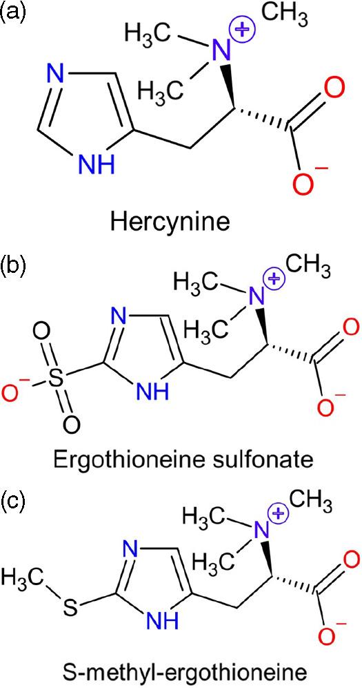 https://cdn.ncbi.nlm.nih.gov/pmc/blobs/d854/9816654/a4767e71b6c0/S0007114522003592_fig3.jpg