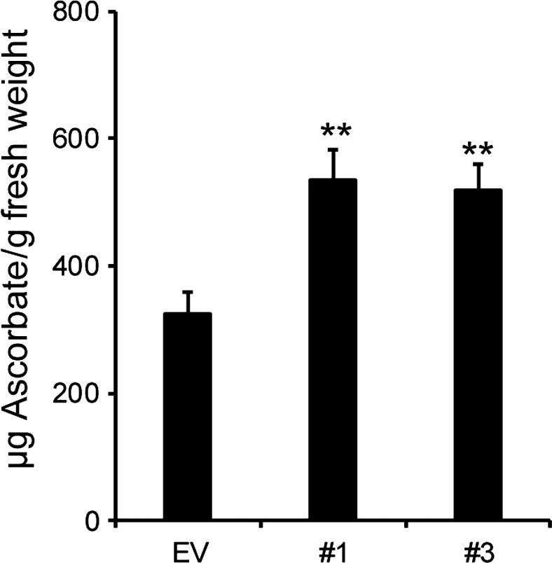 https://cdn.ncbi.nlm.nih.gov/pmc/blobs/d856/6282560/19e5fe21e60c/TPJ-96-1036-g007.jpg