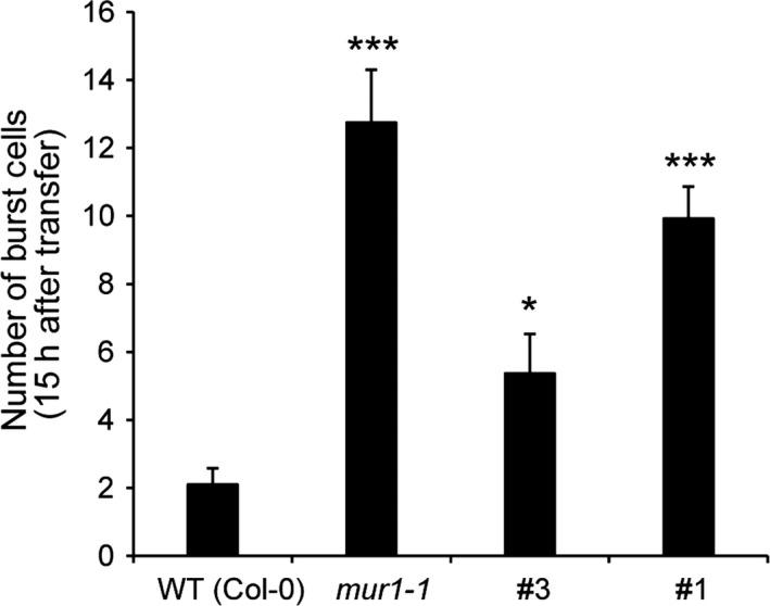 https://cdn.ncbi.nlm.nih.gov/pmc/blobs/d856/6282560/28a9d515addc/TPJ-96-1036-g006.jpg