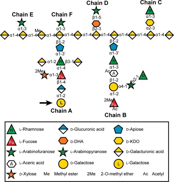 https://cdn.ncbi.nlm.nih.gov/pmc/blobs/d856/6282560/7a5e46d2b8d7/TPJ-96-1036-g001.jpg