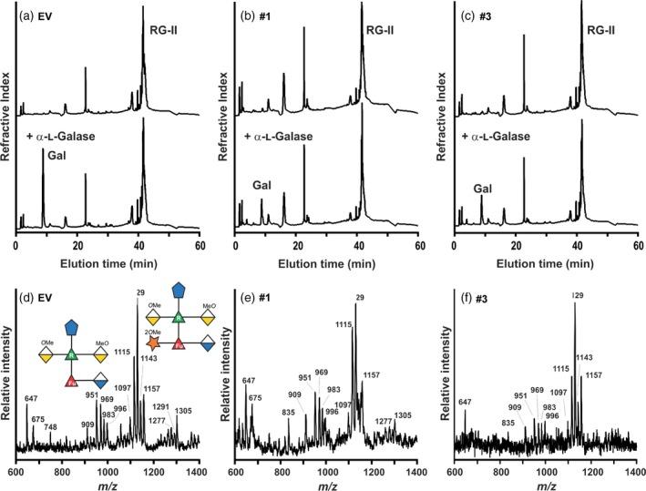 https://cdn.ncbi.nlm.nih.gov/pmc/blobs/d856/6282560/ce73cb3b9473/TPJ-96-1036-g004.jpg