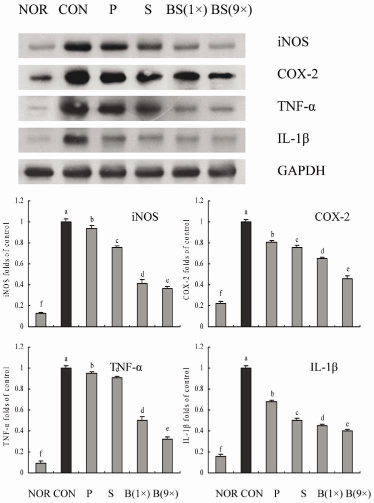https://cdn.ncbi.nlm.nih.gov/pmc/blobs/d858/3746161/d2b7b0c9a46e/nrp-7-273-g006.jpg