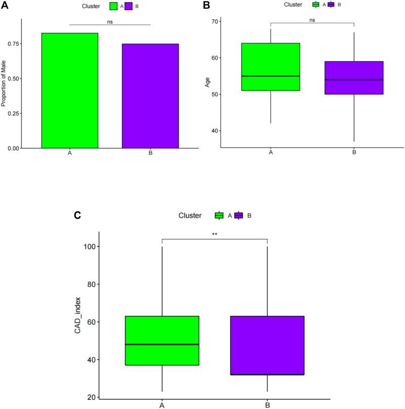 https://cdn.ncbi.nlm.nih.gov/pmc/blobs/d85d/9531137/1383aa2d51fe/fgene-13-870222-g008.jpg