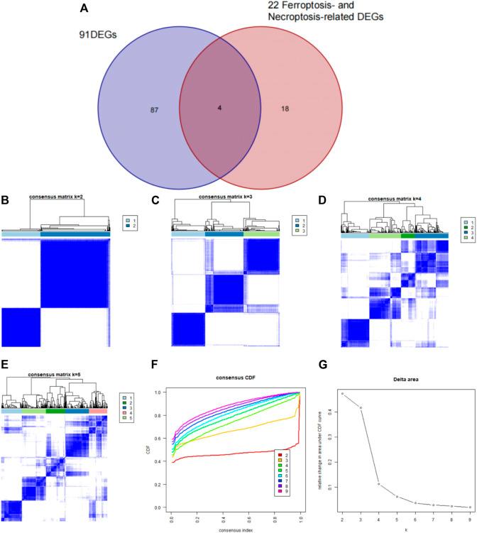 https://cdn.ncbi.nlm.nih.gov/pmc/blobs/d85d/9531137/69871fbba572/fgene-13-870222-g009.jpg