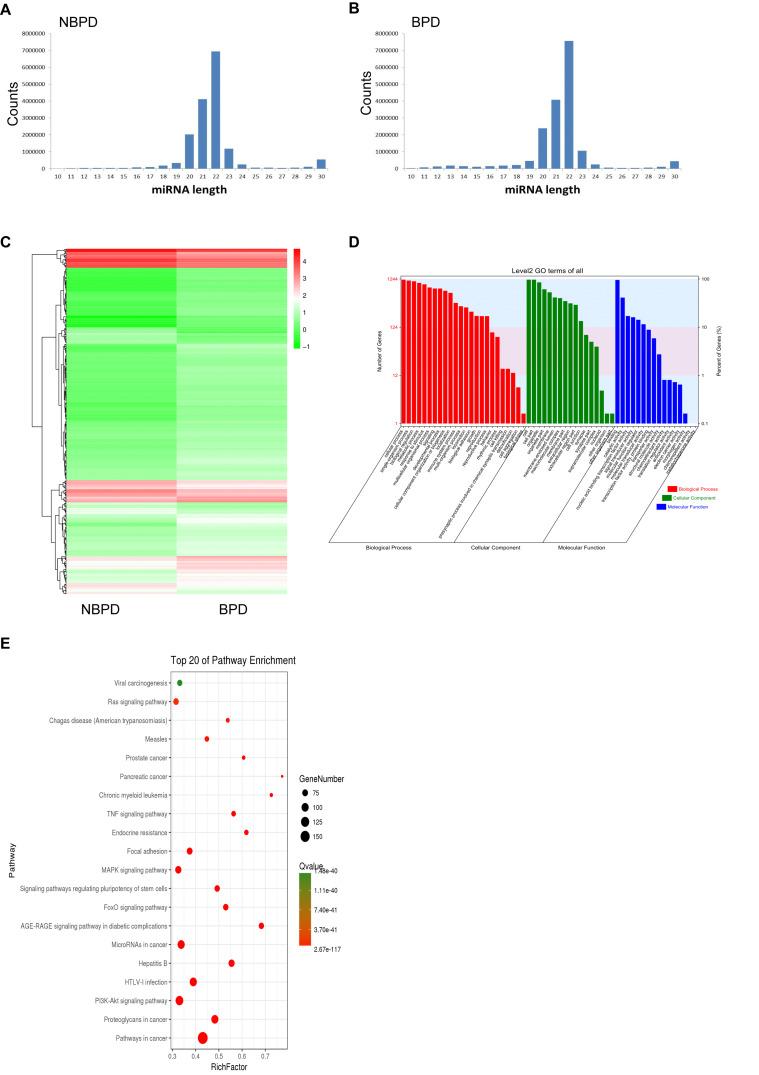https://cdn.ncbi.nlm.nih.gov/pmc/blobs/d861/8027316/6fb0fd356628/fcell-09-637248-g003.jpg