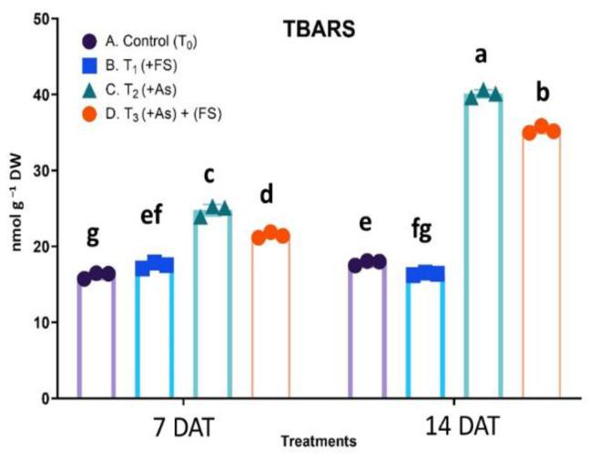 https://cdn.ncbi.nlm.nih.gov/pmc/blobs/d861/9228442/336089e1948d/plants-11-01559-g004.jpg