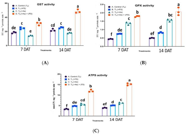 https://cdn.ncbi.nlm.nih.gov/pmc/blobs/d861/9228442/93db6043e453/plants-11-01559-g007.jpg