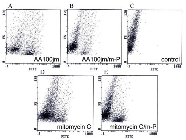 https://cdn.ncbi.nlm.nih.gov/pmc/blobs/d862/2390540/3cb8933953d5/1465-9921-9-39-9.jpg