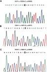 https://cdn.ncbi.nlm.nih.gov/pmc/blobs/d862/6510395/0f8d0dae6f54/CMAR-11-4085-g0006.jpg