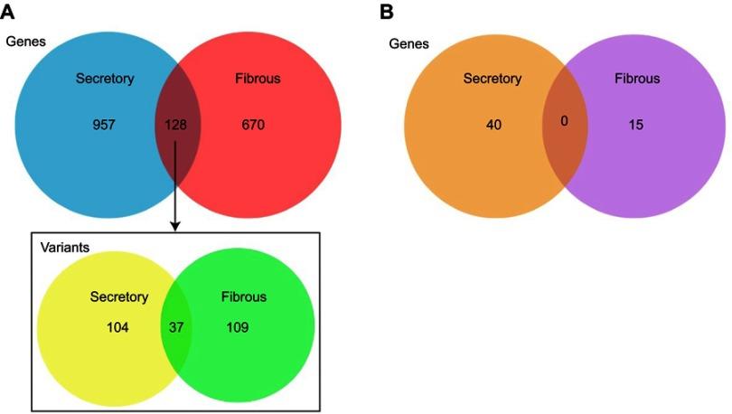 https://cdn.ncbi.nlm.nih.gov/pmc/blobs/d862/6510395/9aa2545f6e17/CMAR-11-4085-g0003.jpg