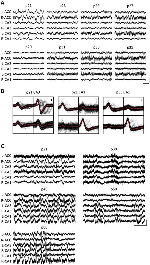 https://cdn.ncbi.nlm.nih.gov/pmc/blobs/d863/10903788/096049419bff/nihms-1967388-f0003.jpg
