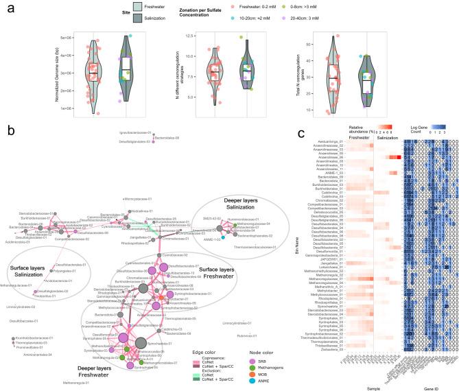 https://cdn.ncbi.nlm.nih.gov/pmc/blobs/d863/12172229/0092d9ac8d2a/40793_2025_739_Fig4_HTML.jpg