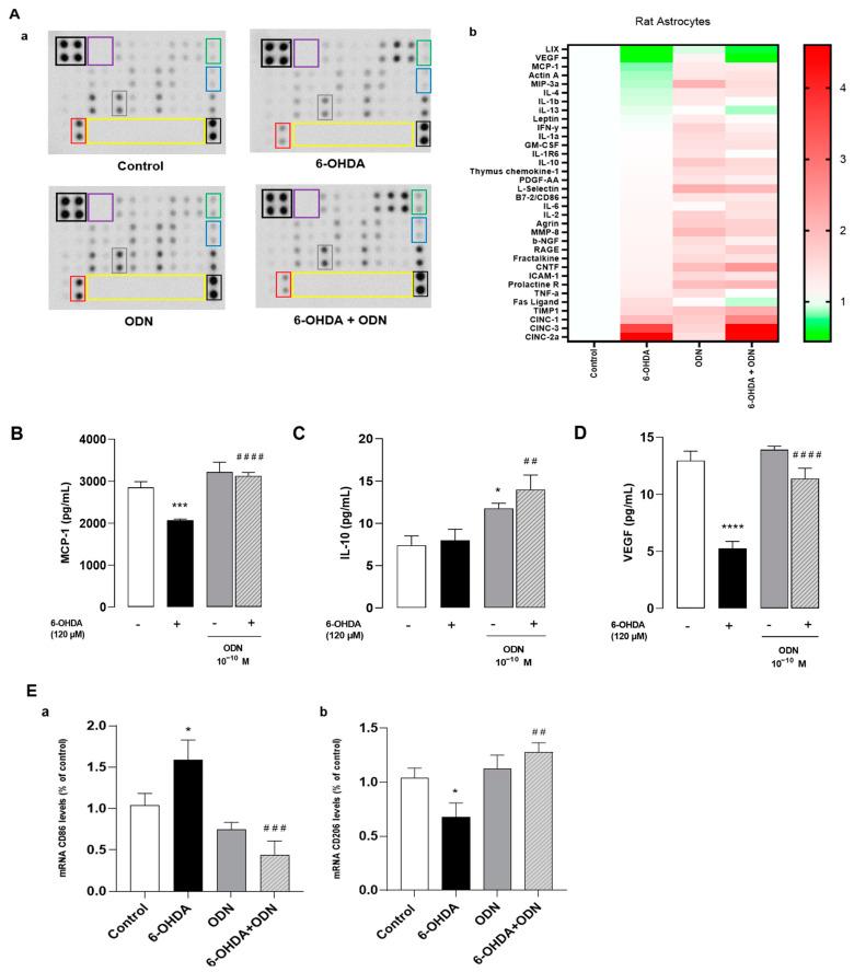 https://cdn.ncbi.nlm.nih.gov/pmc/blobs/d866/11487398/5c03327ffc0a/cells-13-01188-g003.jpg