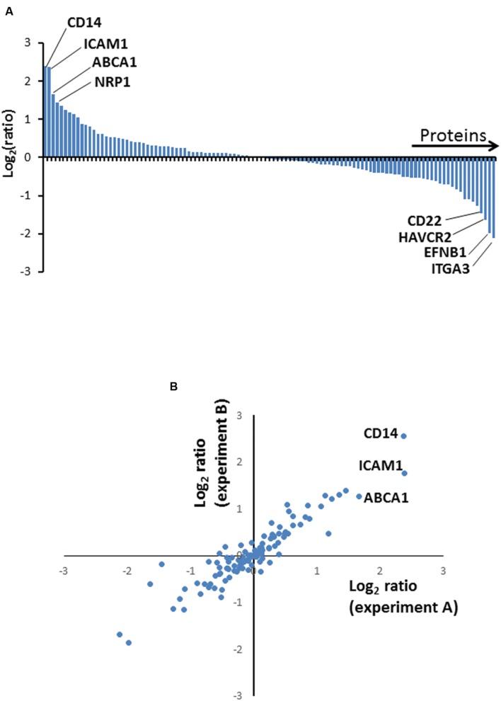 https://cdn.ncbi.nlm.nih.gov/pmc/blobs/d866/4940386/477e9351dfcf/fmicb-07-01086-g002.jpg