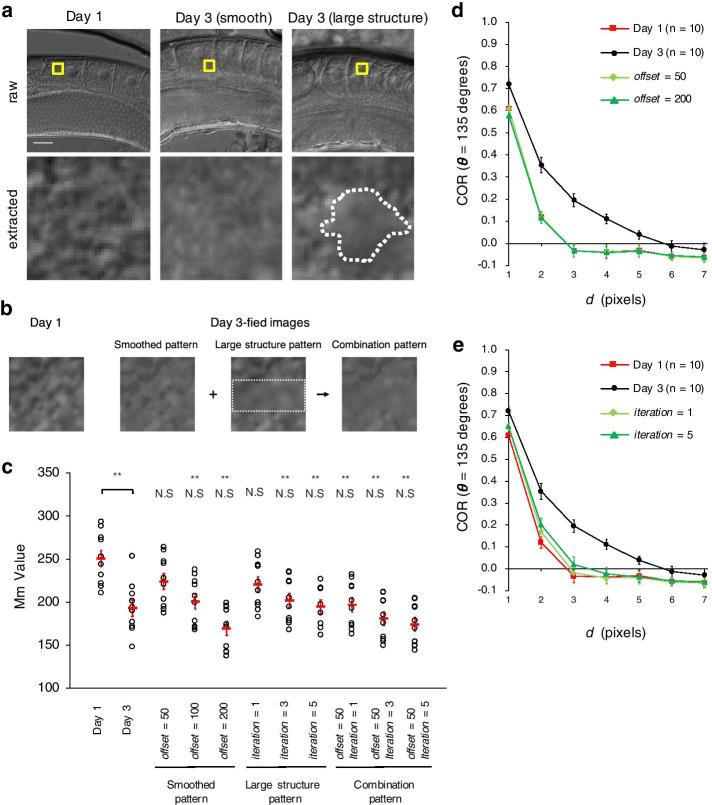 https://cdn.ncbi.nlm.nih.gov/pmc/blobs/d866/7890843/c47dfcf2d5d2/12859_2021_3990_Fig6_HTML.jpg