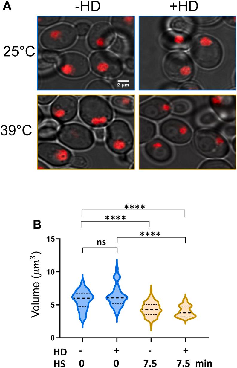 https://cdn.ncbi.nlm.nih.gov/pmc/blobs/d866/9486037/77df650e21fc/gr6.jpg