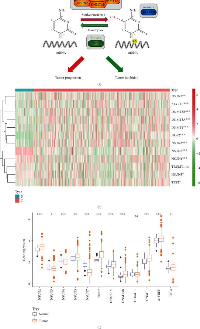 https://cdn.ncbi.nlm.nih.gov/pmc/blobs/d869/8497170/313d7296ff64/IJG2021-3803724.001.jpg