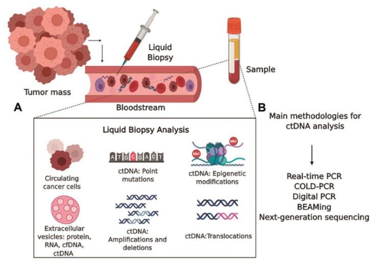 https://cdn.ncbi.nlm.nih.gov/pmc/blobs/d86d/10780704/2f90a23c22dc/sensors-24-00037-g012.jpg