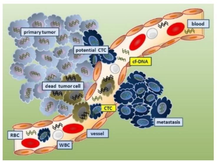https://cdn.ncbi.nlm.nih.gov/pmc/blobs/d86d/10780704/47014518bb2e/sensors-24-00037-g005.jpg