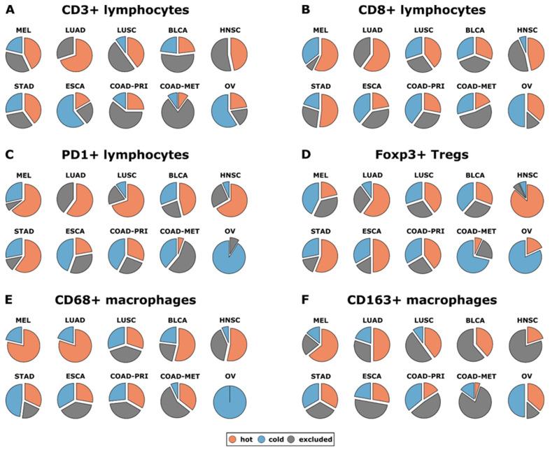 https://cdn.ncbi.nlm.nih.gov/pmc/blobs/d86d/10780704/6d715b0ea742/sensors-24-00037-g008.jpg