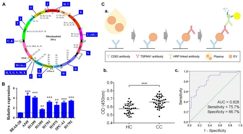 https://cdn.ncbi.nlm.nih.gov/pmc/blobs/d86d/10780704/e85aa740283c/sensors-24-00037-g006.jpg