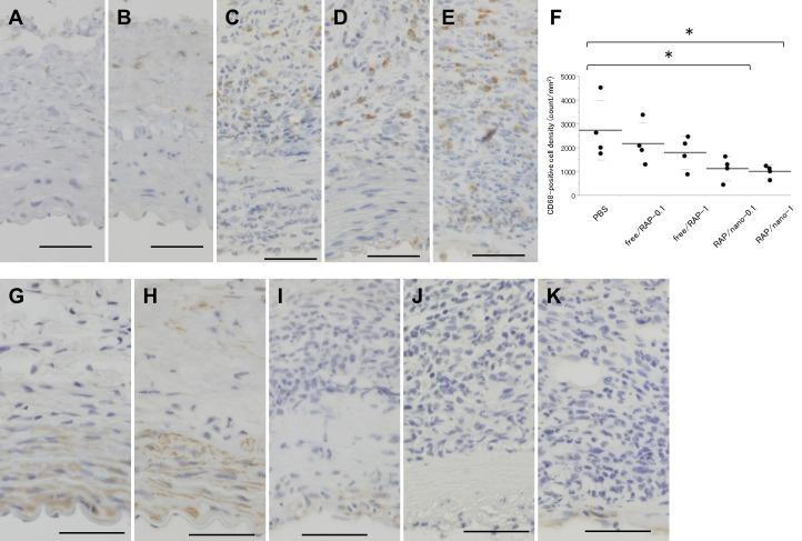 https://cdn.ncbi.nlm.nih.gov/pmc/blobs/d86d/4919101/3eb077369f7b/pone.0157813.g007.jpg