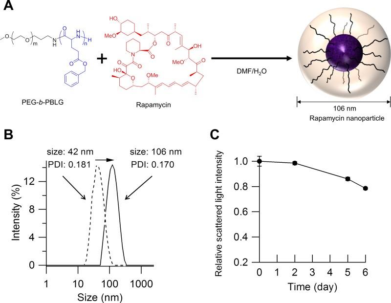 https://cdn.ncbi.nlm.nih.gov/pmc/blobs/d86d/4919101/40c59cd9ed46/pone.0157813.g001.jpg