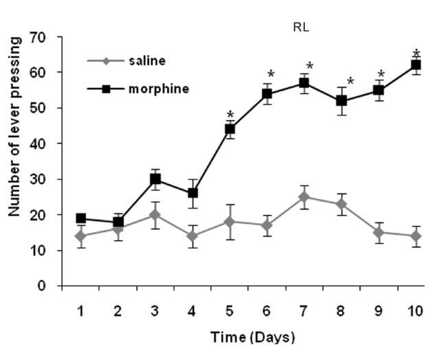 https://cdn.ncbi.nlm.nih.gov/pmc/blobs/d86e/3604847/75d1cfb02d97/IJPVM-4-158-g003.jpg