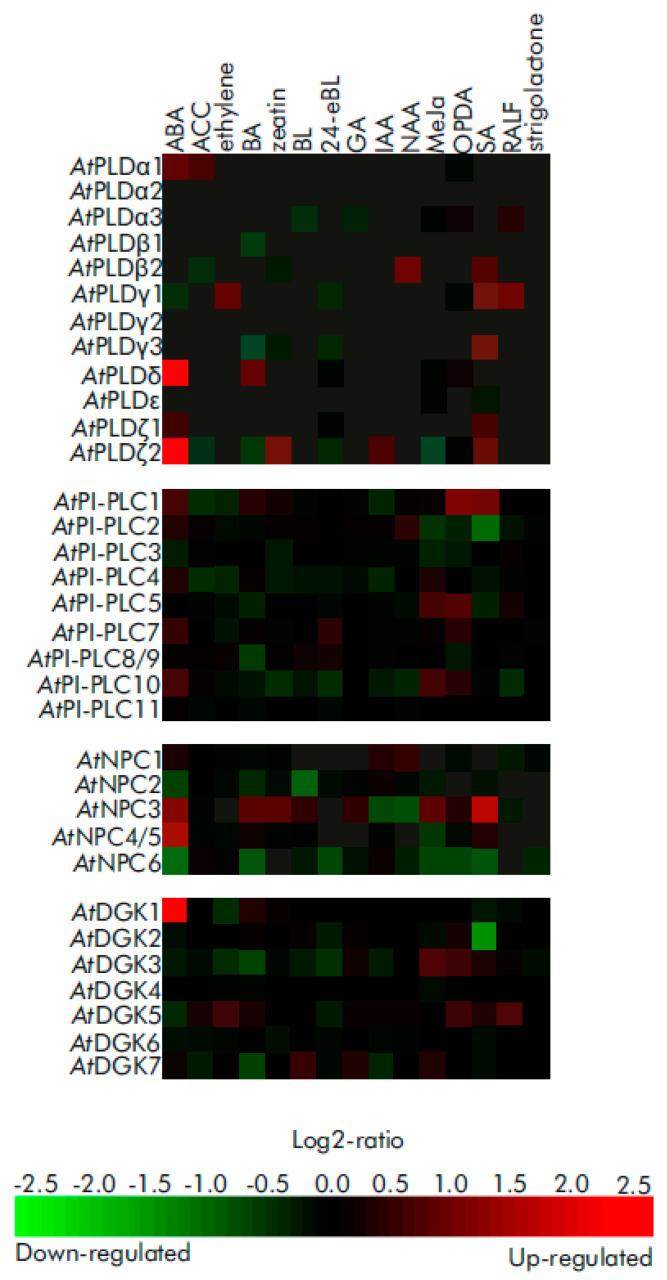 https://cdn.ncbi.nlm.nih.gov/pmc/blobs/d86e/8954910/f8423951c6c8/ijms-23-03227-g006.jpg